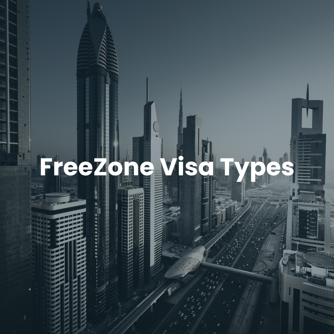 The 4 Types of Dubai Free Zone Visas