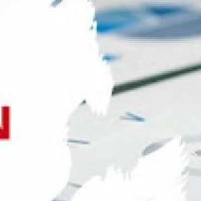 Liquidation of A Sole Establishment or a Professional Company in Dubai